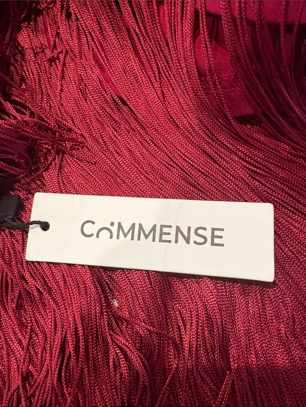 Commense Burgundy Fringe Spaghetti-Strap Mini Dress - Picture 4 of 5